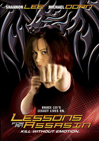 Lessons for an Assassin poster