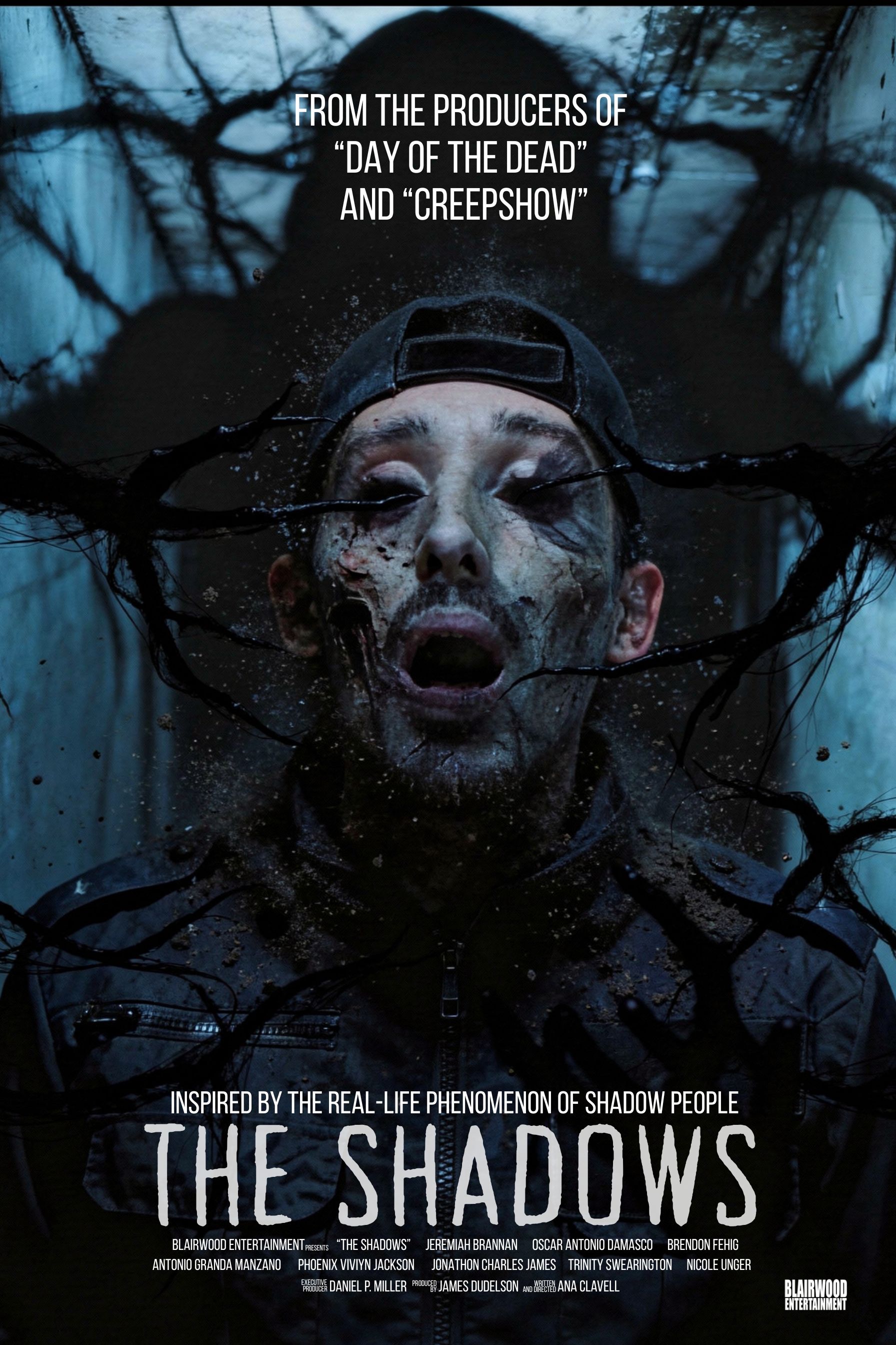 The Shadows poster